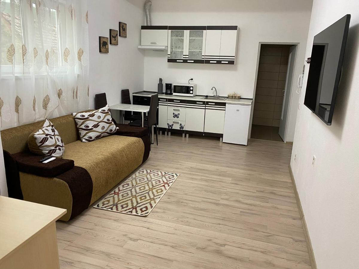 Centralhome Ap1 シギショアラ エクステリア 写真