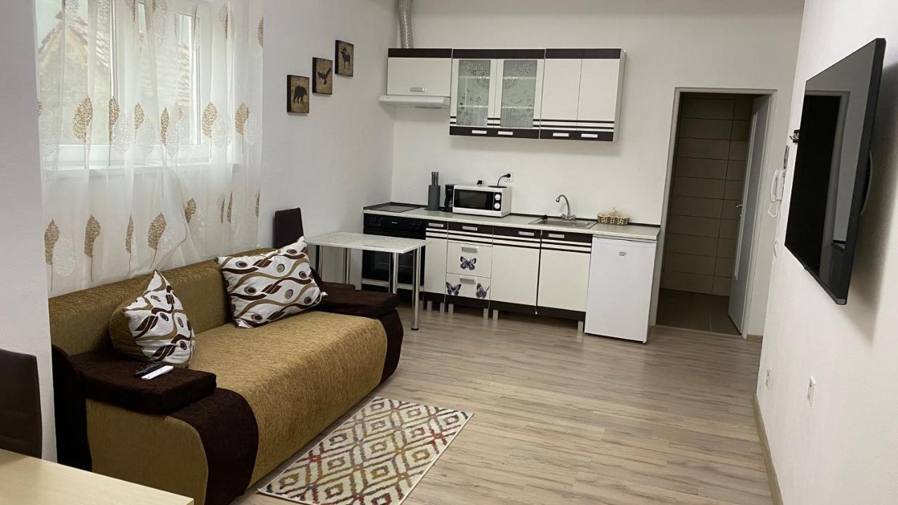 Centralhome Ap1 シギショアラ エクステリア 写真