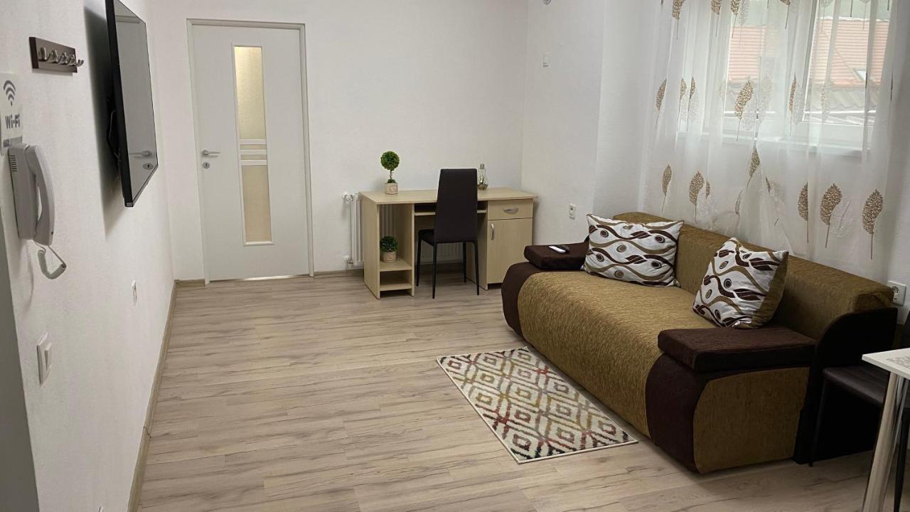 Centralhome Ap1 シギショアラ エクステリア 写真